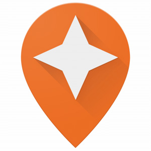 Google Local Guide